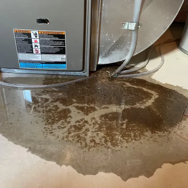 Appliance Leak Cleanup in Catskill, NY